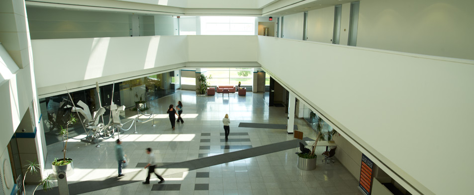 People-working-at-Telehouse